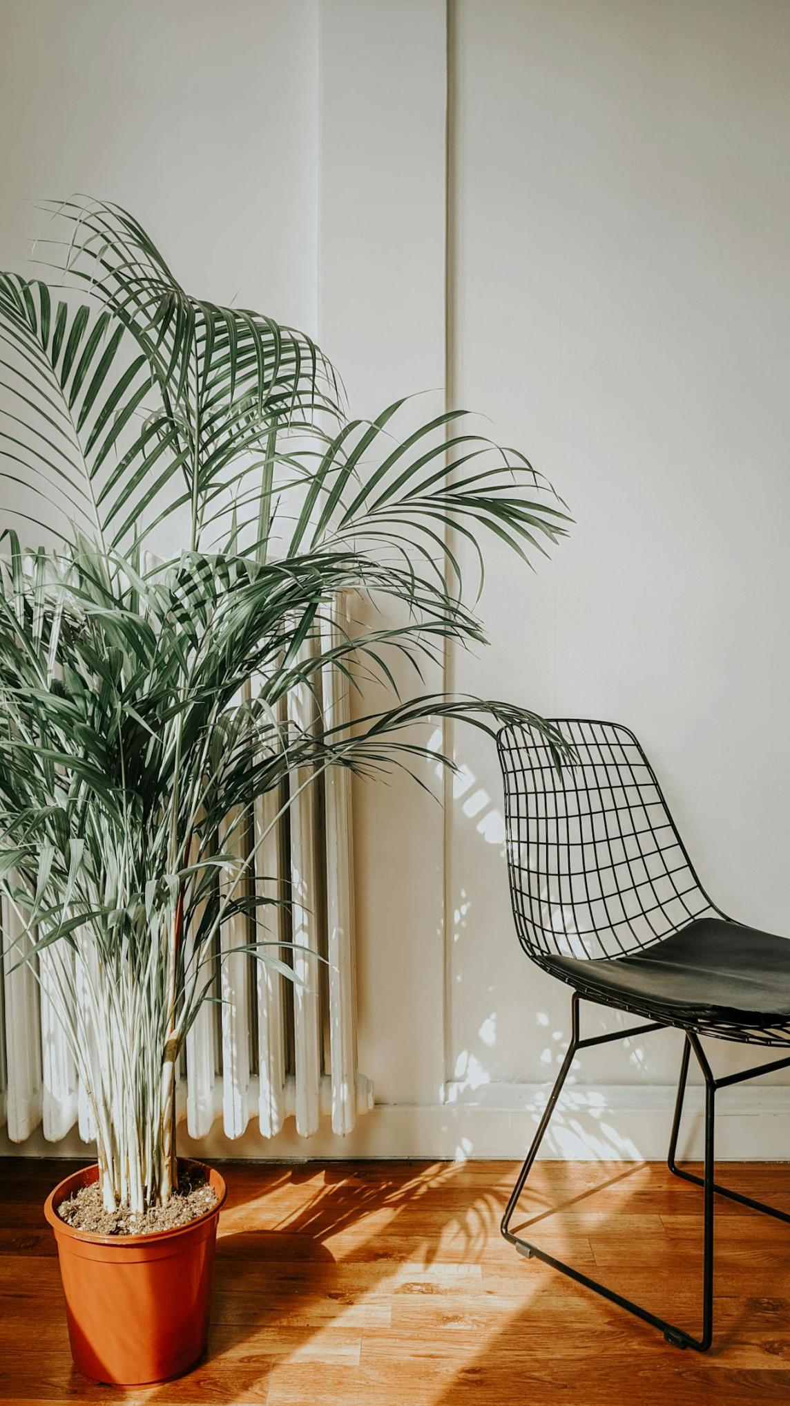 Elegant Mesh Lounge Chair
